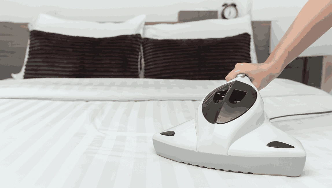 Professional Mattress Cleaning Sassafras