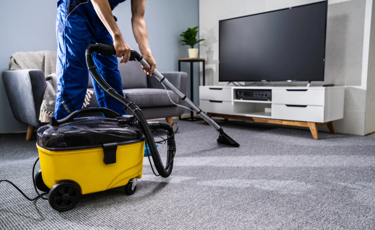 Extract Mattress Cleaning Sassafras Contact Office